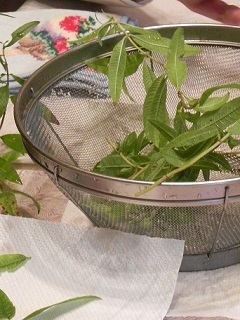 c0152002_17191167.jpg