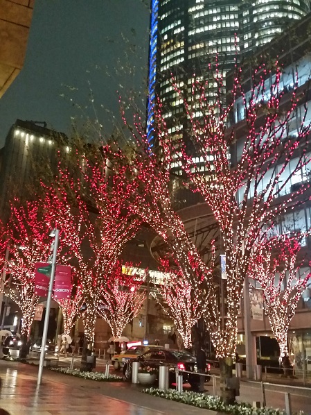 e0087008_1183663.jpg