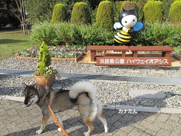 f0143123_10195676.jpg