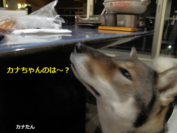 f0143123_1075799.jpg