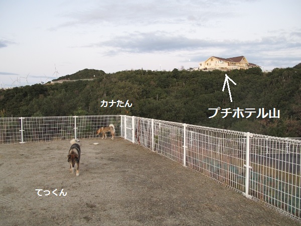 f0143123_947620.jpg