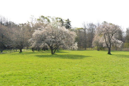 f0344626_22090556.jpg