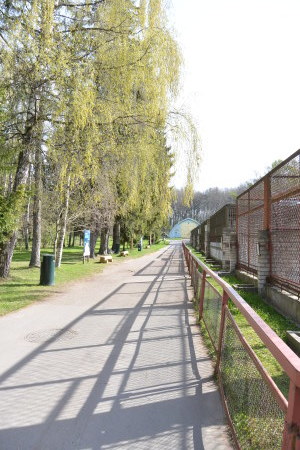 f0344626_22102739.jpg