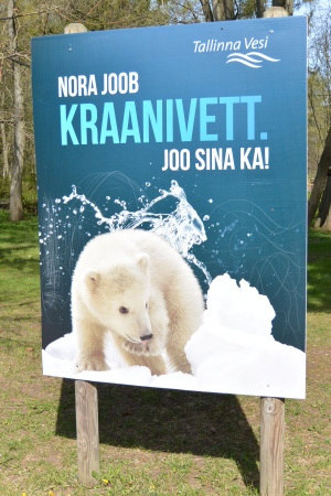 f0344626_22104849.jpg