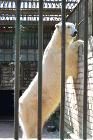 f0344626_22125834.jpg