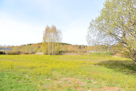 f0344626_22214933.jpg