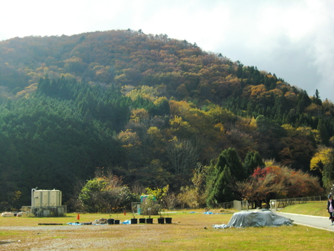 c0236632_1030237.jpg