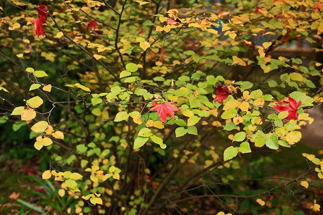 a0242438_2081340.jpg