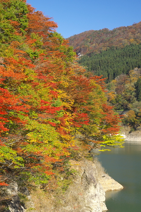 c0180845_22552180.jpg