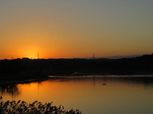 b0238249_15542393.jpg