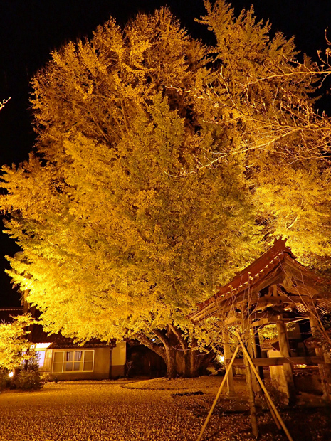 f0214649_85339100.jpg