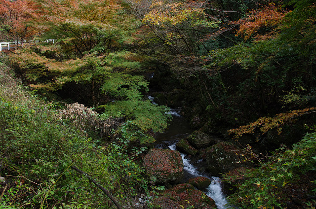 c0080357_184278.jpg