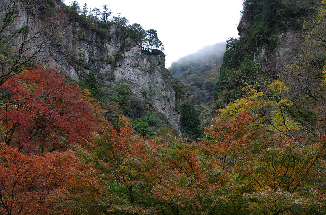 c0080357_18443840.jpg