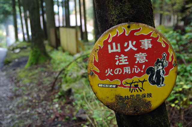 c0080357_18513725.jpg
