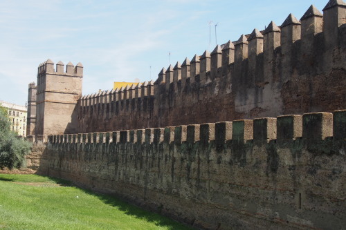 c0351060_23263479.jpg