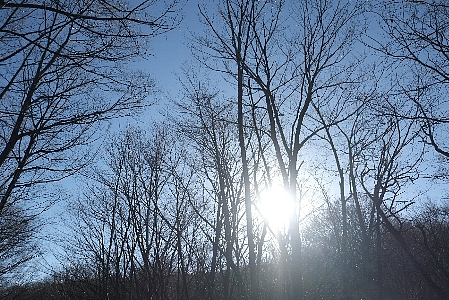 f0035962_1002288.jpg