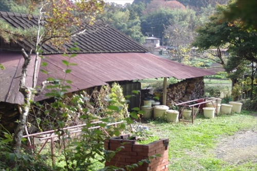 f0211463_20243995.jpg