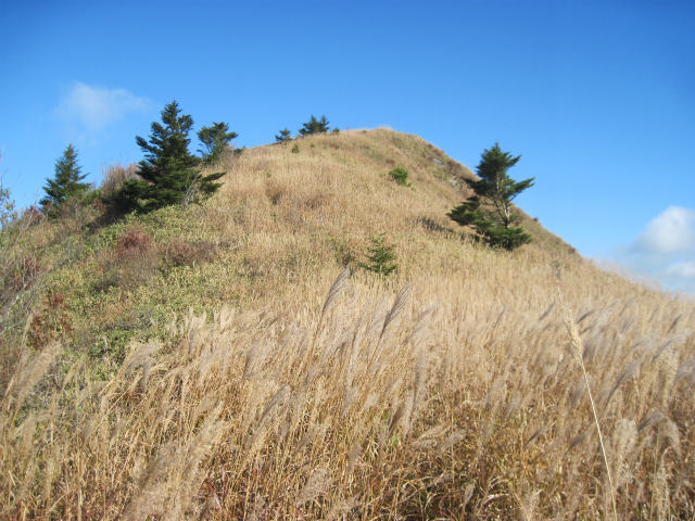 c0219866_9455974.jpg