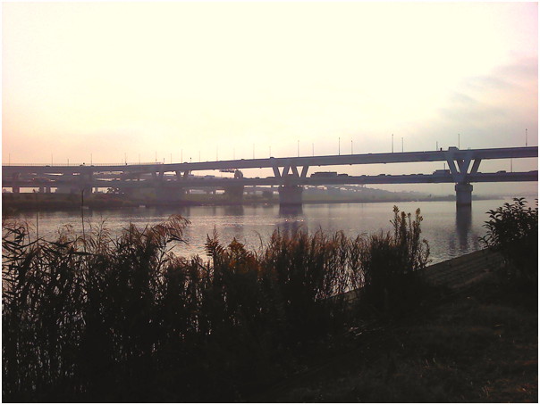 b0340572_90289.jpg