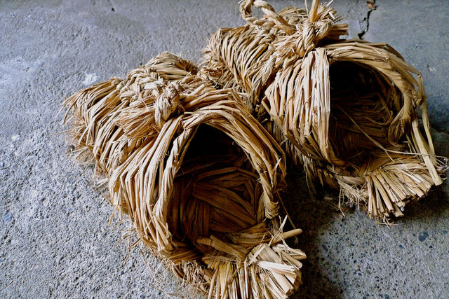 a0182281_16401053.jpg