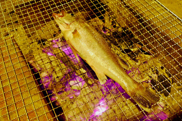 a0182281_16415595.jpg