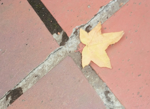 e0143690_743469.jpg
