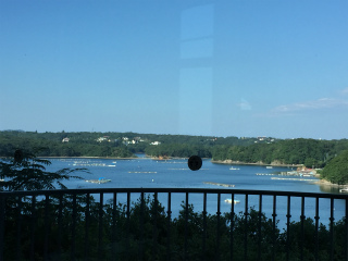 c0077697_2323462.jpg