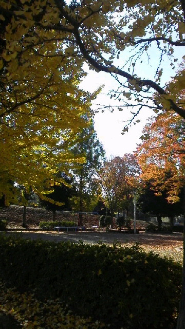 f0208812_919473.jpg