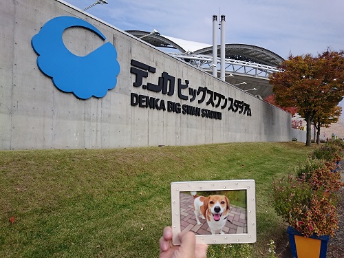 c0084117_1839095.jpg