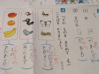 e0255717_1630960.jpg