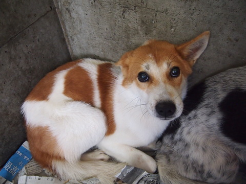 f0078320_243078.jpg