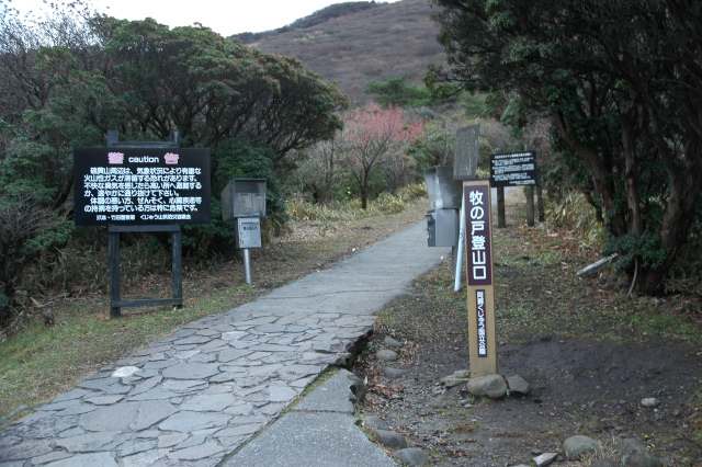 e0272335_20494095.jpg