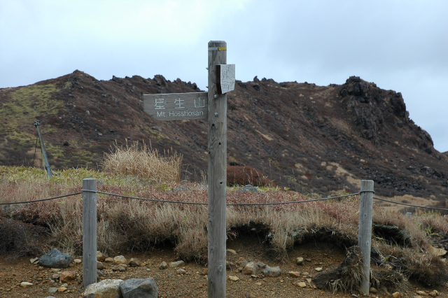 e0272335_21251351.jpg