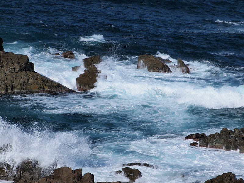 a0106043_052953.jpg