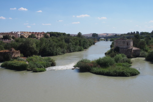 c0351060_02153203.jpg
