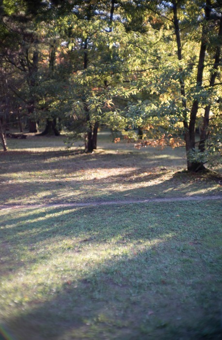 e0209962_00252604.jpg
