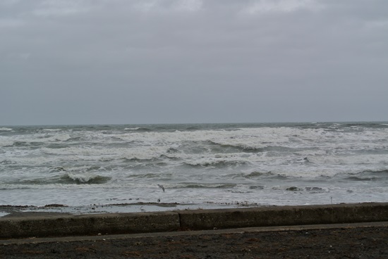 f0207664_1174642.jpg