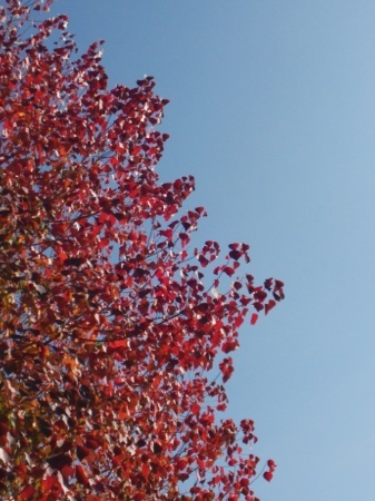 e0342965_18011513.jpg