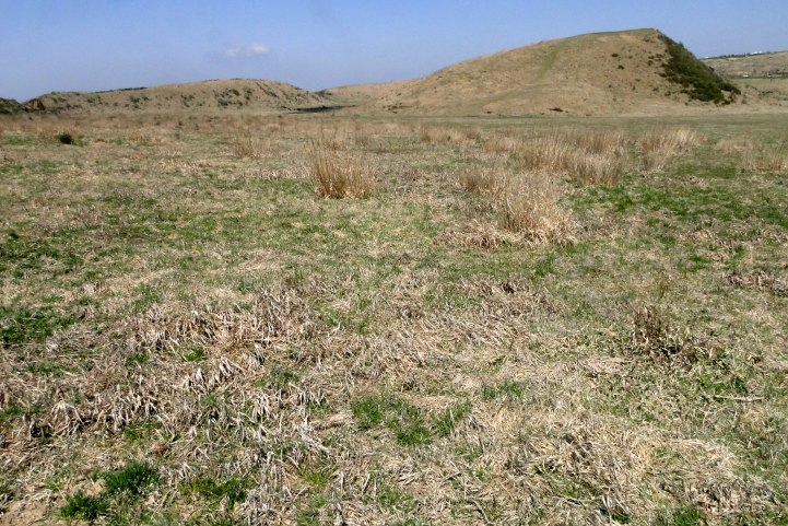 c0248473_16351741.jpg