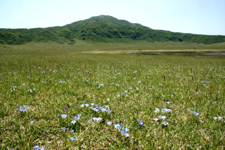 c0248473_176132.jpg