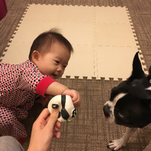 d0041575_22424660.jpeg