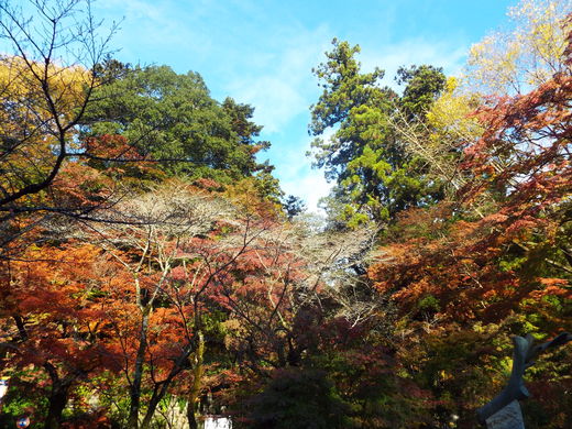 e0145782_152320.jpg