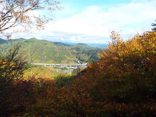 e0145782_1524392.jpg
