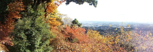 e0145782_1534771.jpg