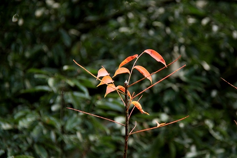 a0222494_1858585.jpg