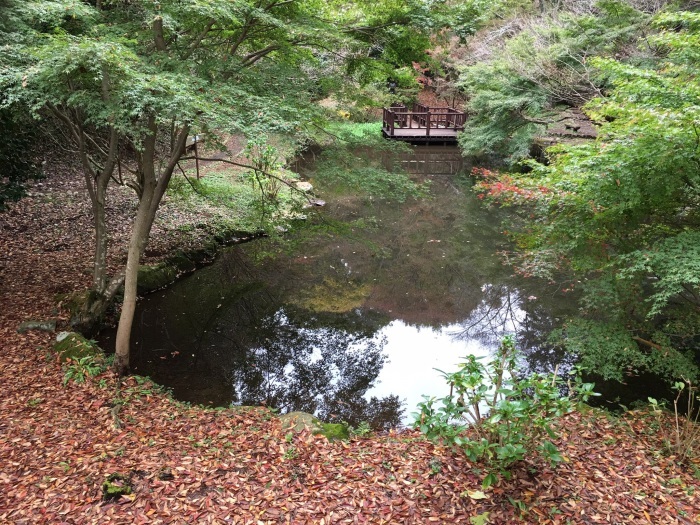 f0268294_23520378.jpg