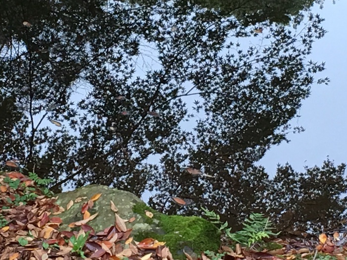 f0268294_23525454.jpg