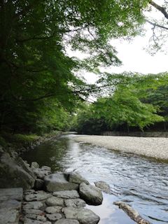 c0077697_15135781.jpg