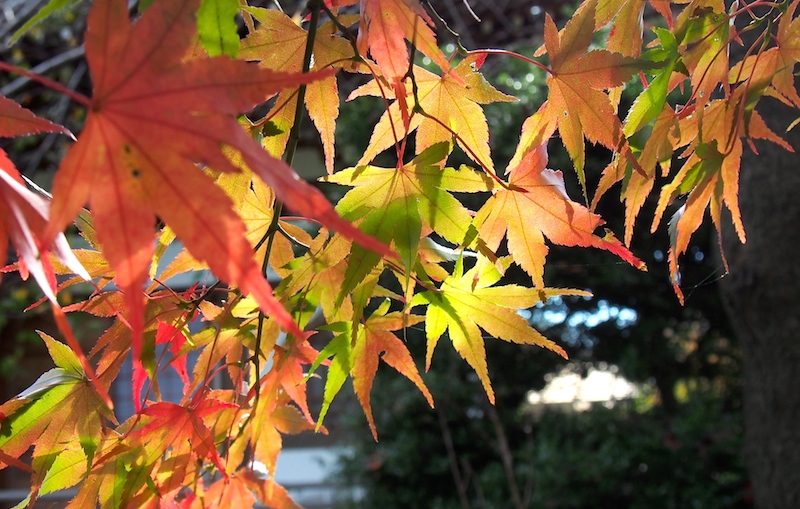 c0248013_2211638.jpg