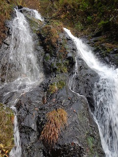 c0359615_22232739.jpg